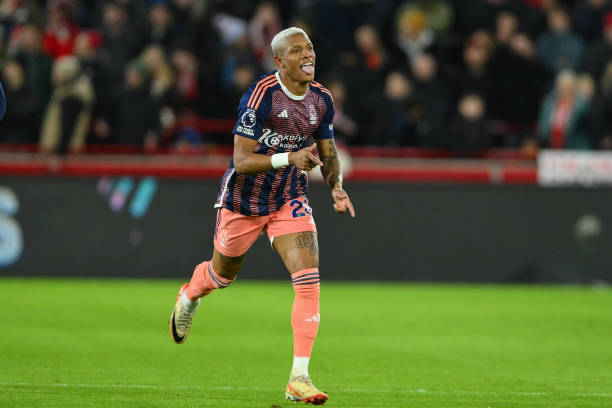 理想选择 理想选择