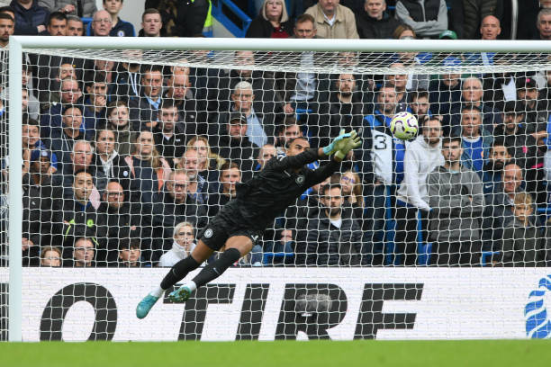 供了参考 供了参考